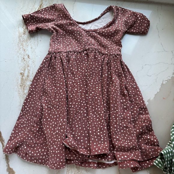 Two Alice & Ames Dresses size 4t - Picture 8 of 8